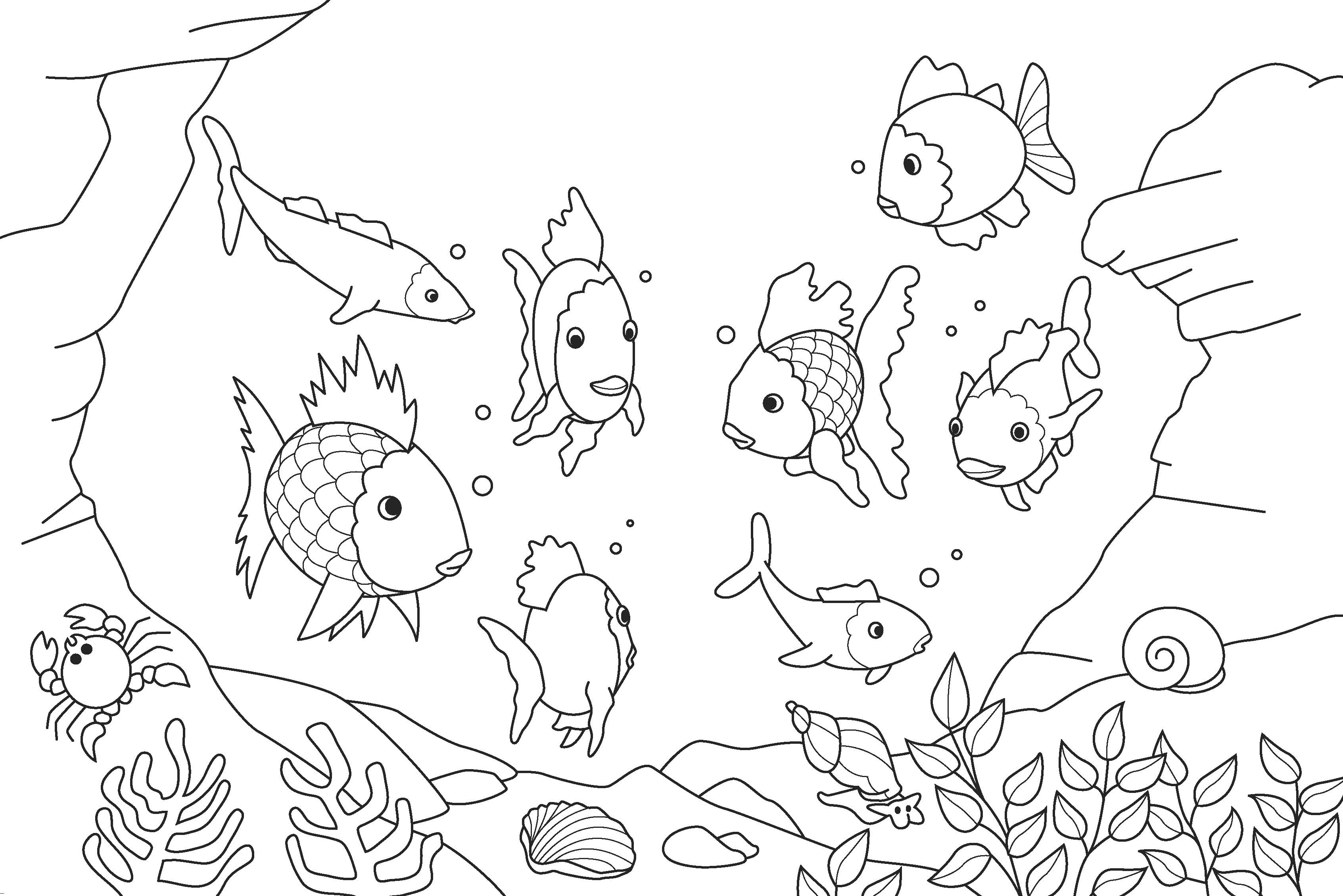 Coloriage Petit poisson nageur aux rayures brillantes - Poisson à imprimer