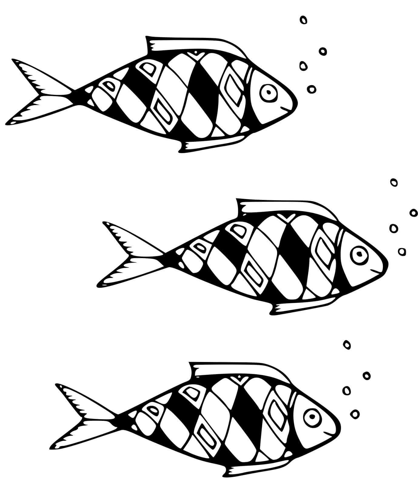Coloriage Poisson Acanthomorphes A Rayons Epineux - Poisson à imprimer