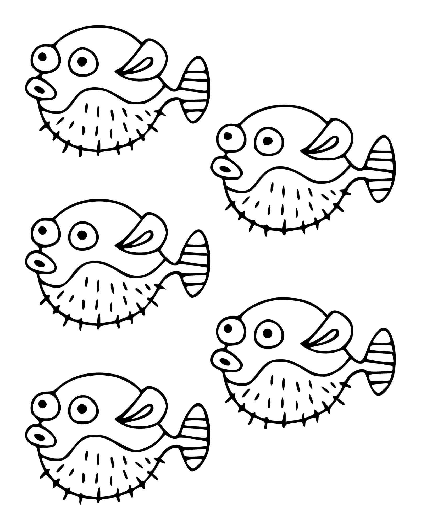 Coloriage Poisson Tetraodontides Poissons Globes Peuvent Gonfler - Poisson à imprimer