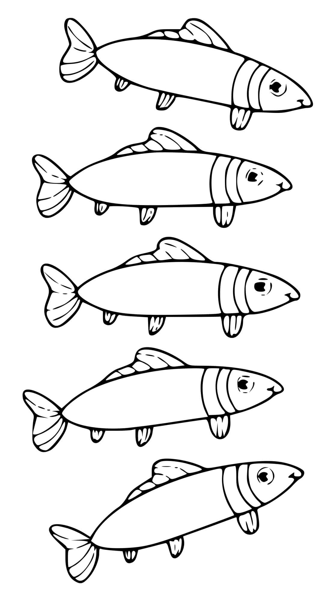 Coloriage Poisson Anguille D'Europe Anguilla - Poisson à imprimer