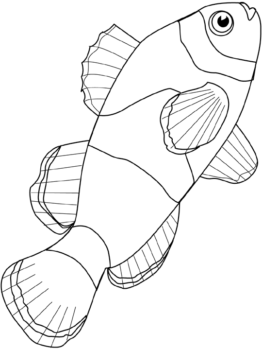 Coloriage Poisson Brochet - Animaux de la mer à imprimer