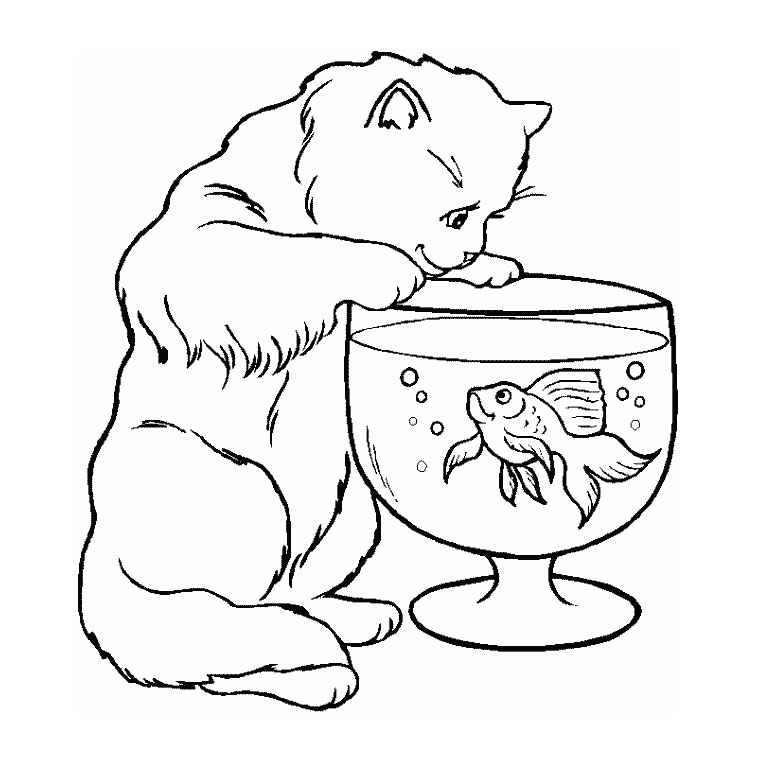 Coloriage Poisson Chat - Chat à imprimer