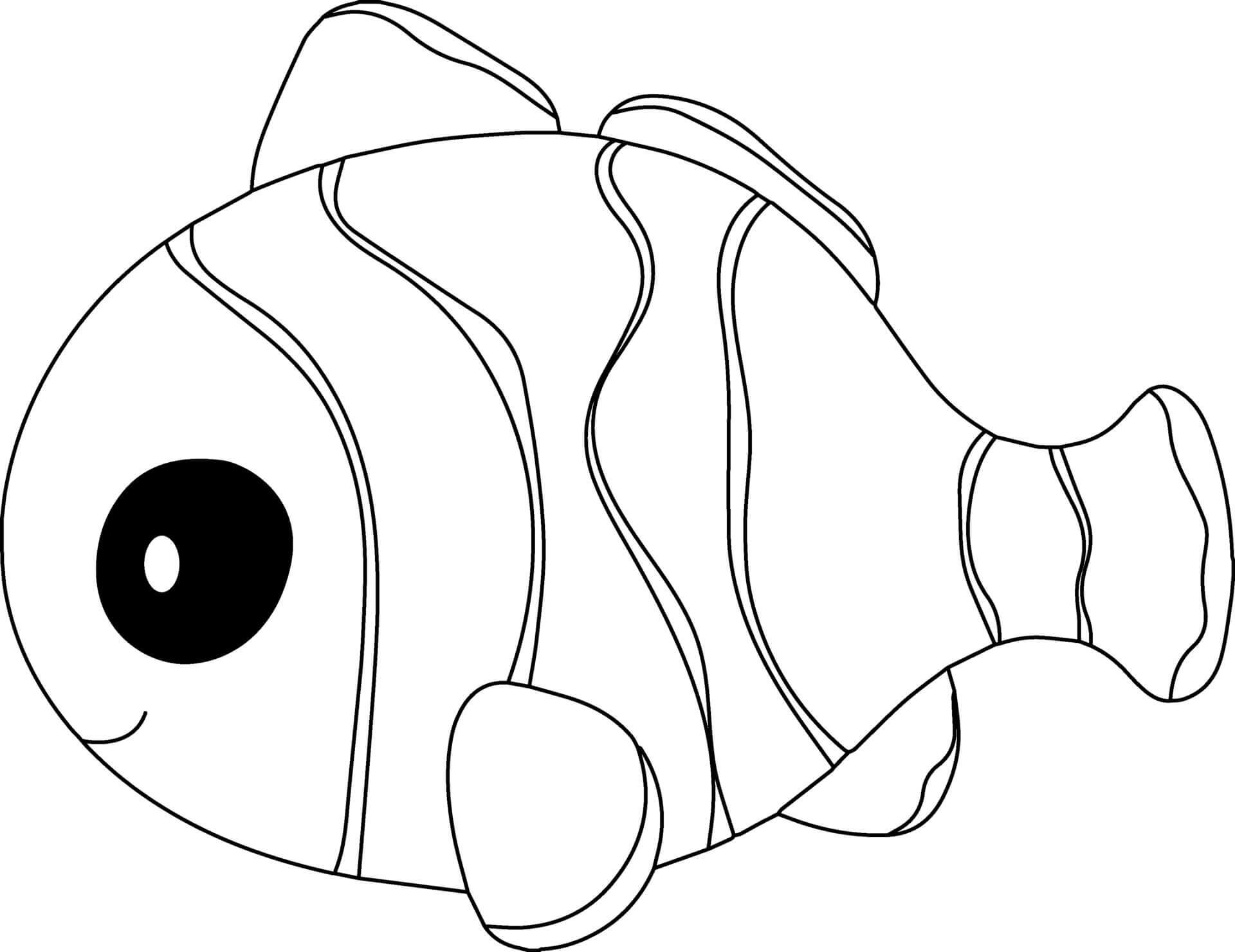 Coloriage Poisson Clown - Animal à imprimer