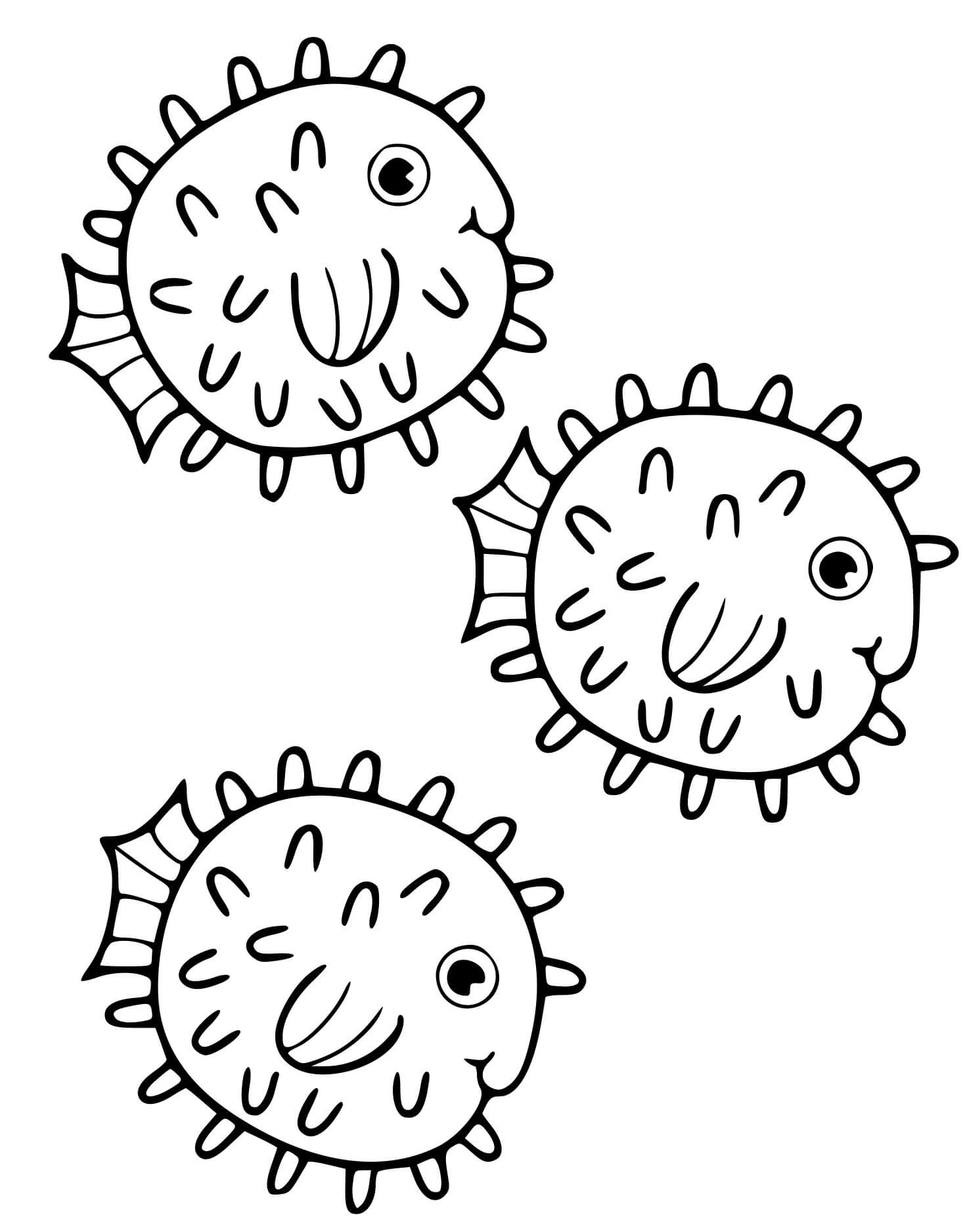 Coloriage Poissons Globes Actinopterygiens Qui Nont Pas De Piquants - Poisson à imprimer