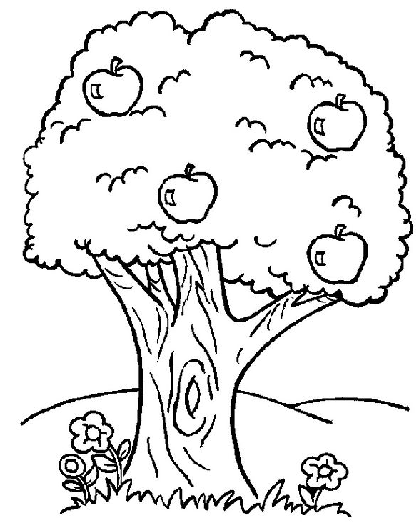 Coloriage Pommier - Arbre à imprimer
