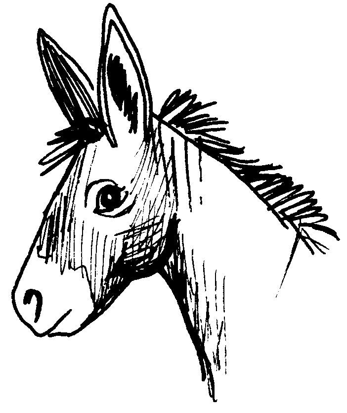Coloriage Portrait Âne Cousin Cheval - Âne à imprimer