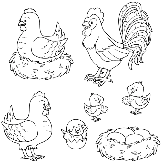 Coloriage Poule Coq Poussins - Poule à imprimer