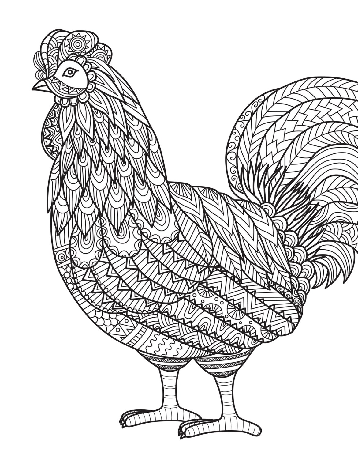 Coloriage Poule Mandala Zentangle - Poule à imprimer