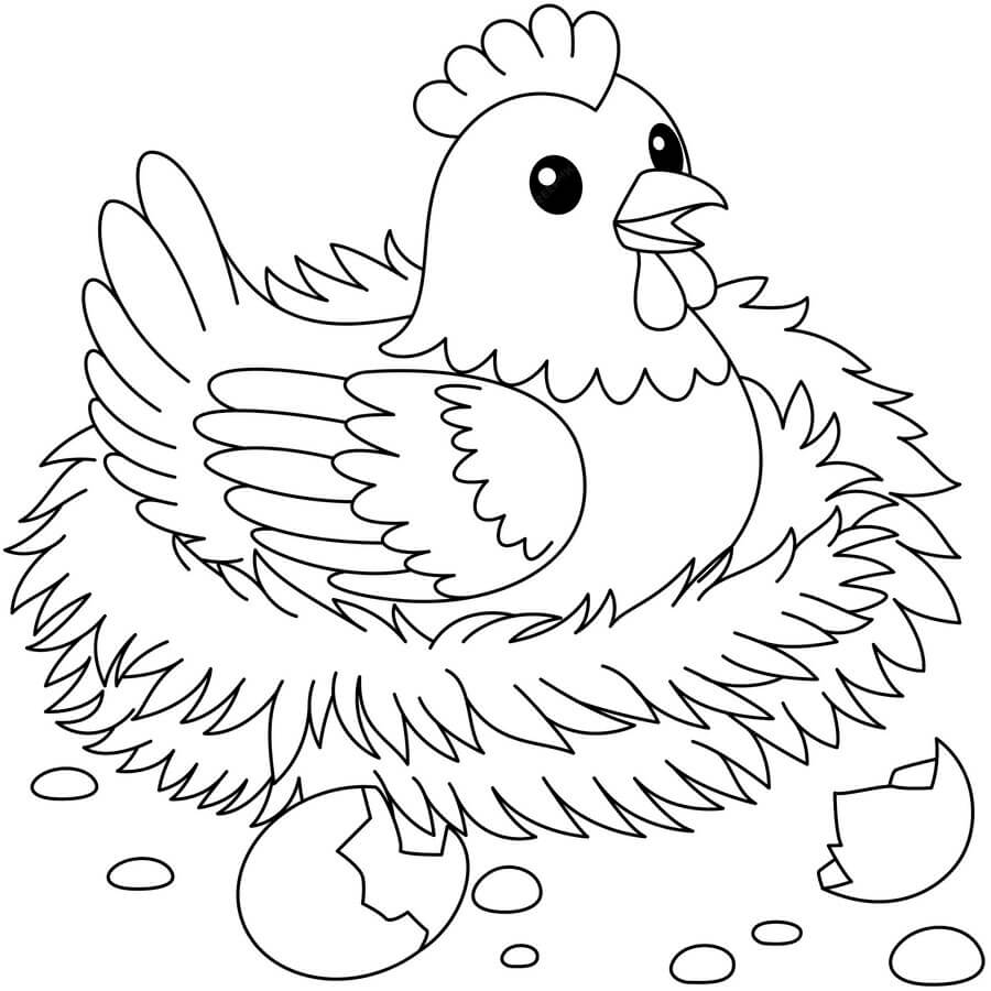 Coloriage Poule Maternelle Dans Nid Avec Œufs - Poule à imprimer
