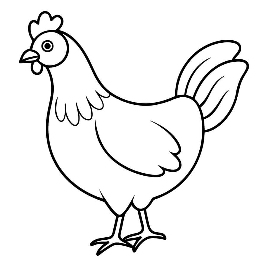 Coloriage Poule Maternelle Traditionnelle Dessin Vectoriel - Poule à imprimer