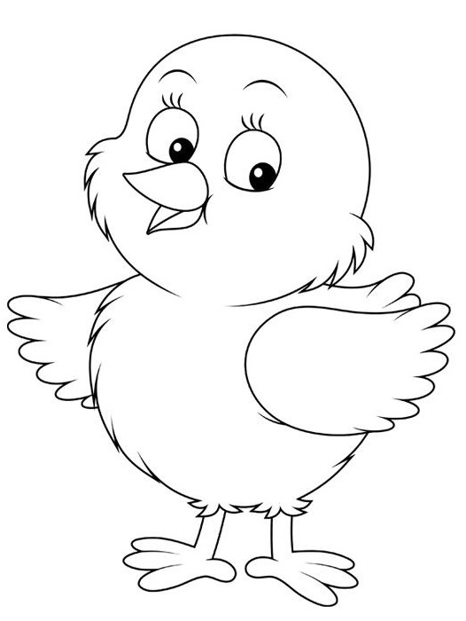 Coloriage Poussin Bébé Poule Domestique - Poule à imprimer