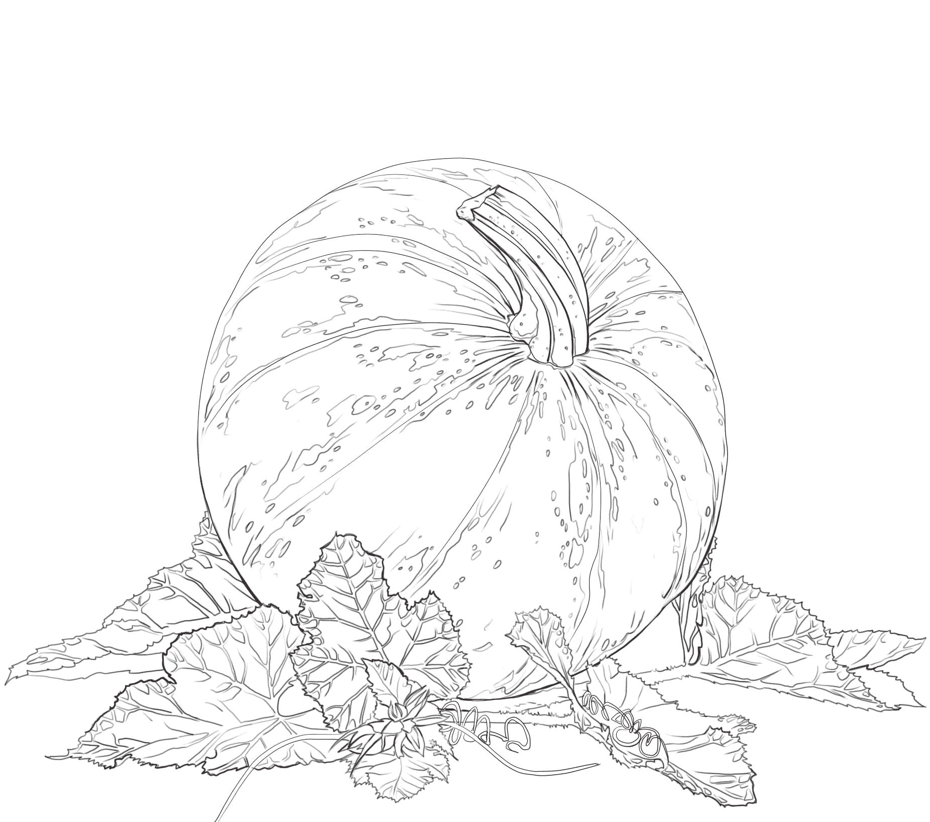 Coloriage Pumpkin And Feuilles Automne - Automne à imprimer