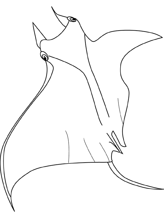 Coloriage Raie - Poisson à imprimer