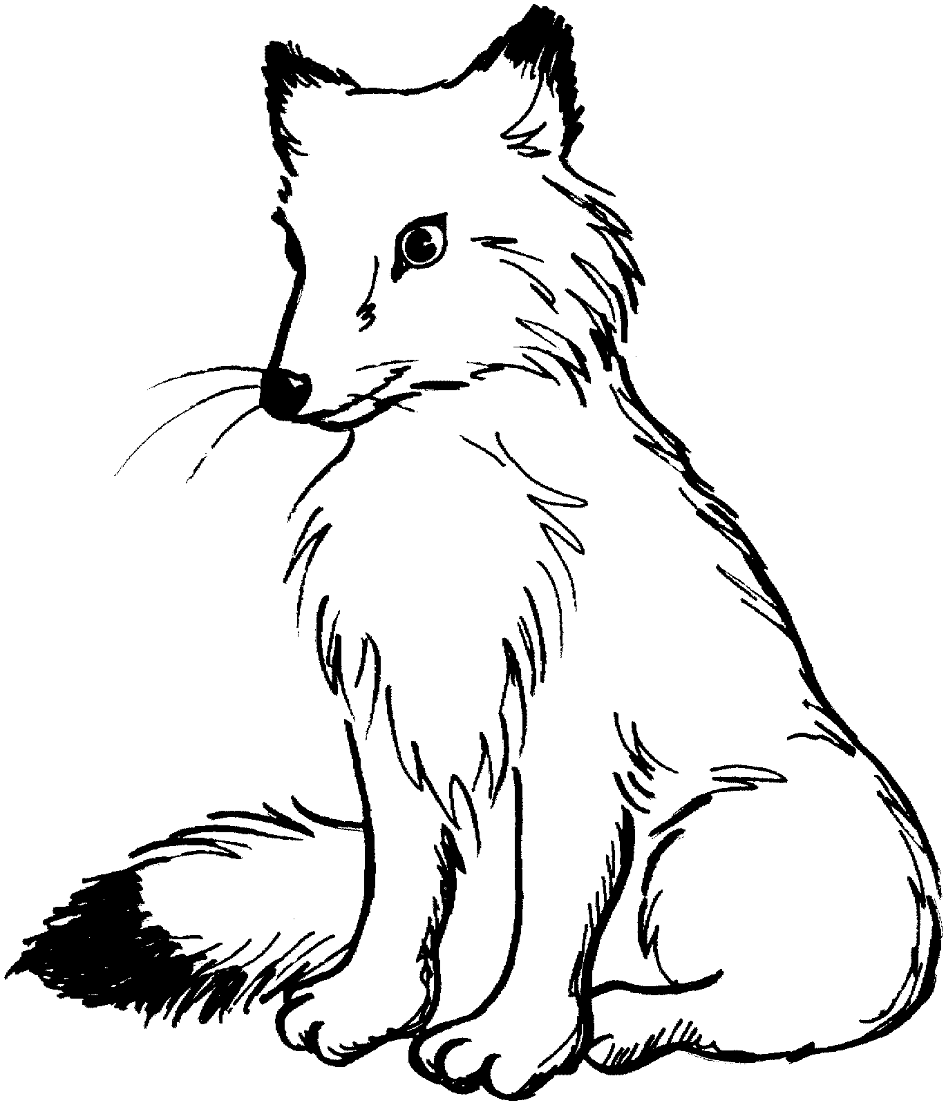 Coloriage Renard Assis Réaliste - Renard à imprimer