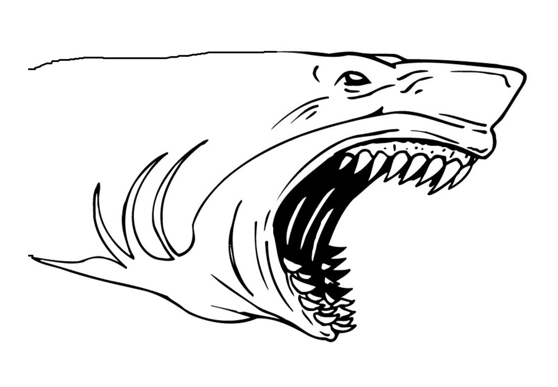 Coloriage Requin Avec De Grandes Dents - Requin à imprimer
