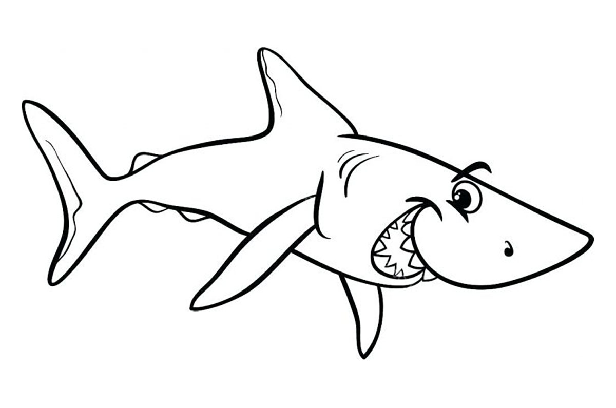 Coloriage Requin