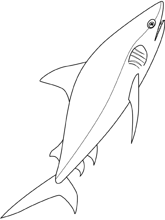 Coloriage Requin - Poisson à imprimer