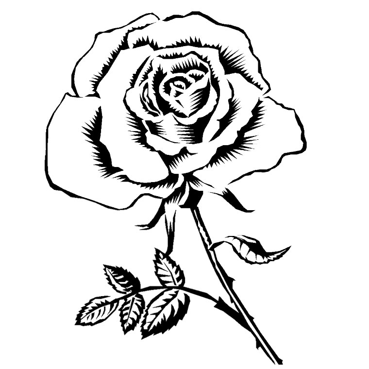 Coloriage Rose Adulte - Rose à imprimer