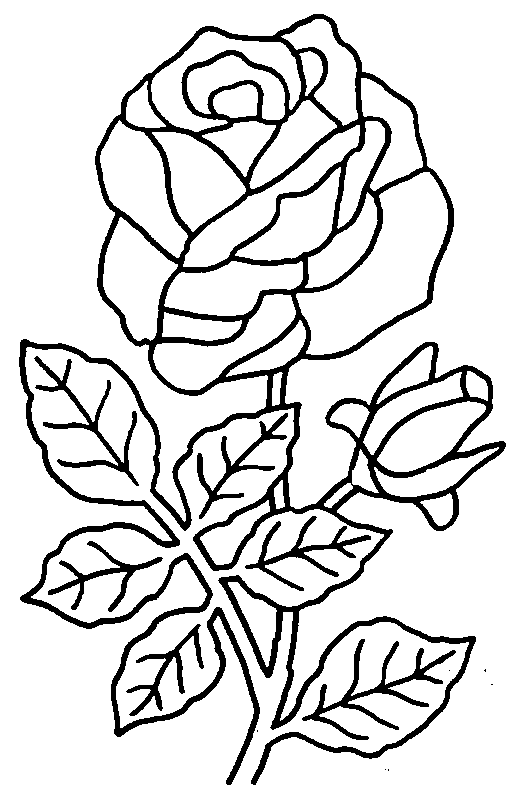 Coloriage Rose romantique avec cœur enlacé - Rose à imprimer