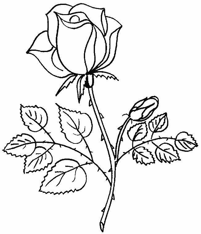 Coloriage Fleur de rose délicate avec cœur - Rose à imprimer