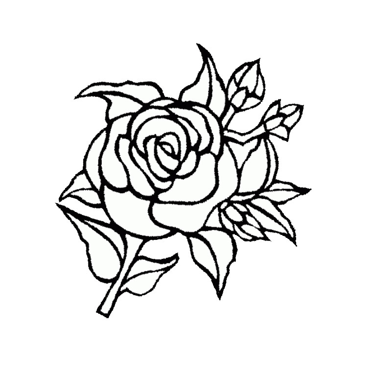 Coloriage Rose Fleur - Fleurs à imprimer