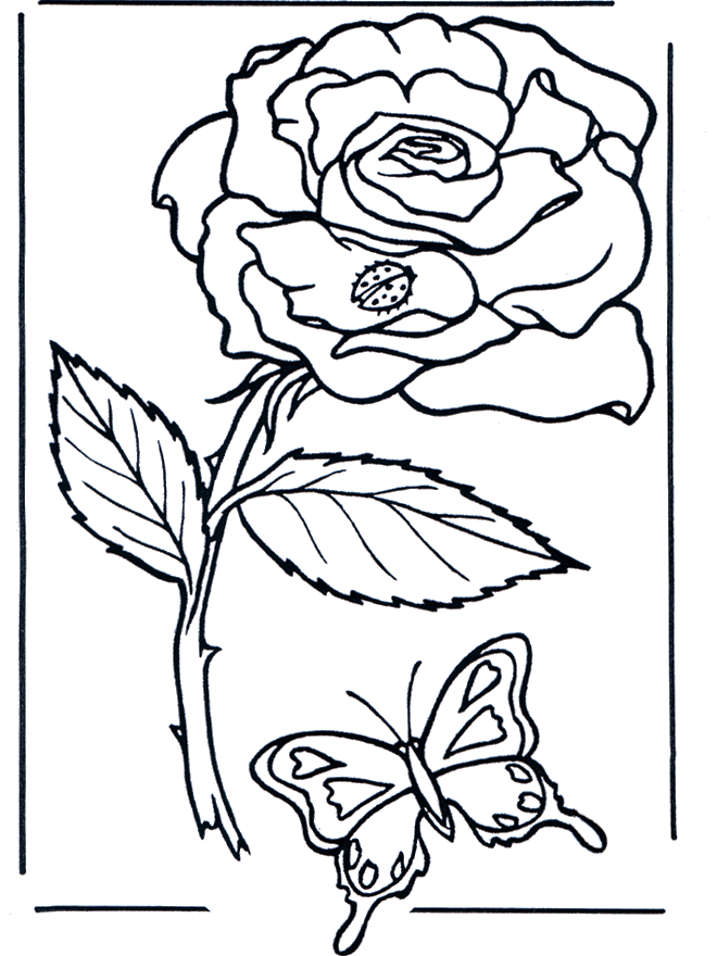 Coloriage Rose romantique en fleur - Rose à imprimer