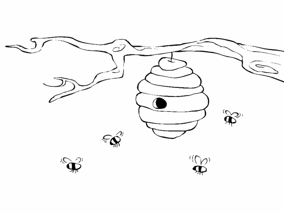 Coloriage Ruche Abeille Habitat - Abeille à imprimer