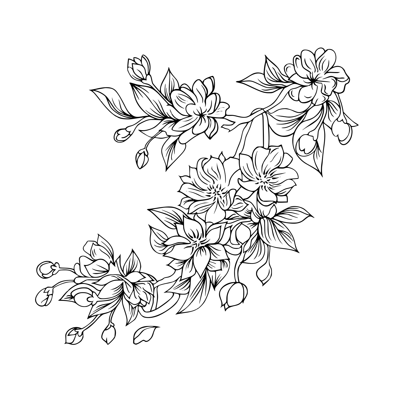 Coloriage Sakura Fleurs Japonaise - Fleurs à imprimer