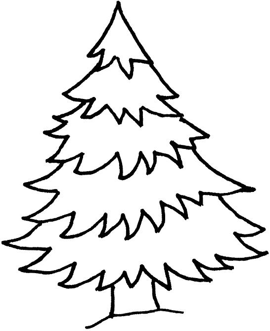 Coloriage Sapin - Arbre à imprimer