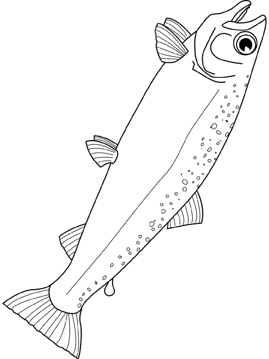 Coloriage Saumon - Poisson à imprimer