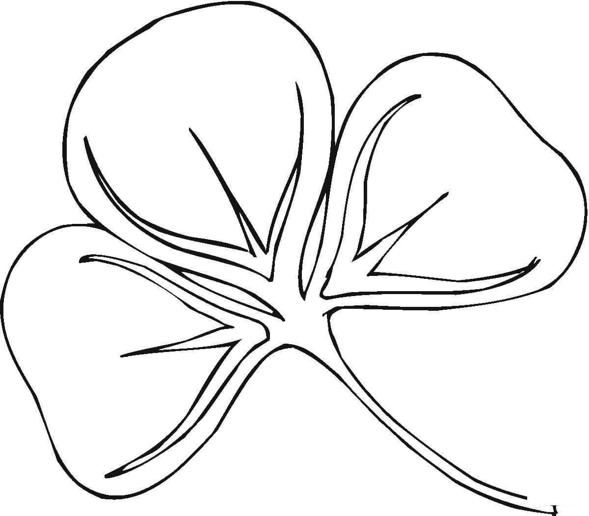 Coloriage Shamrock Saint Patricks Day - Saint Patrick à imprimer