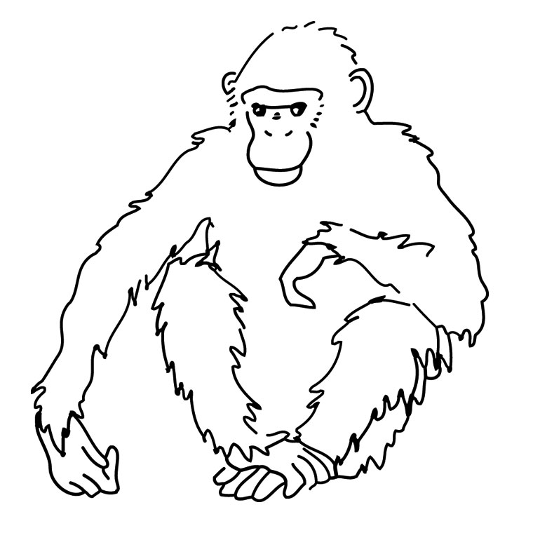 Coloriage Singe Afrique - Animaux à imprimer