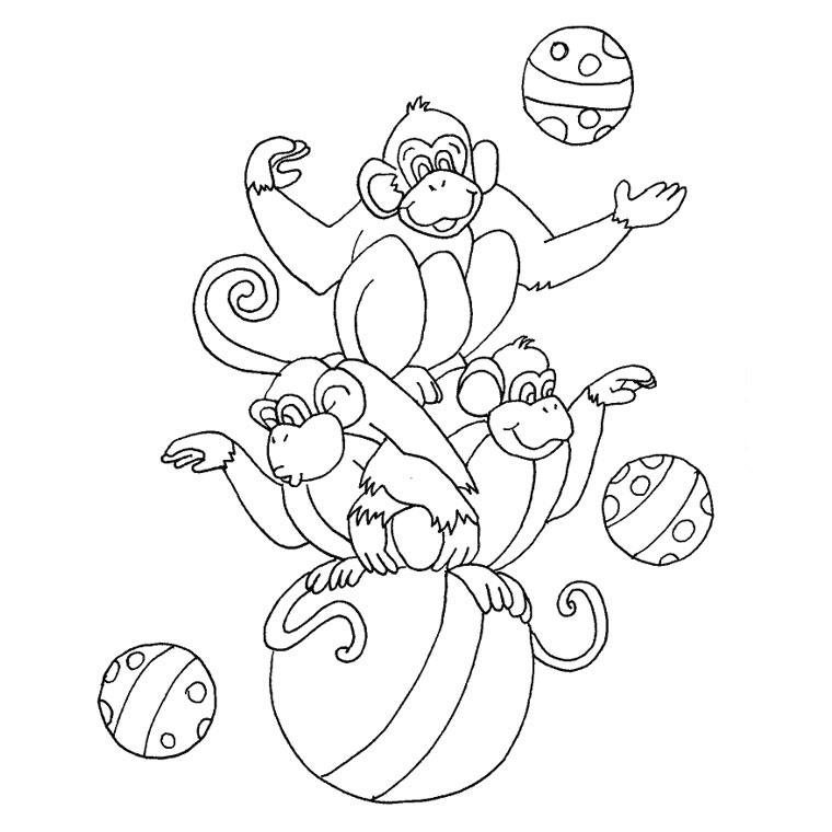 Coloriage Singe Cirque - Animaux à imprimer