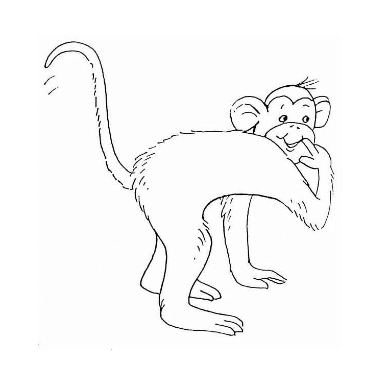 Coloriage Singe - Animaux à imprimer