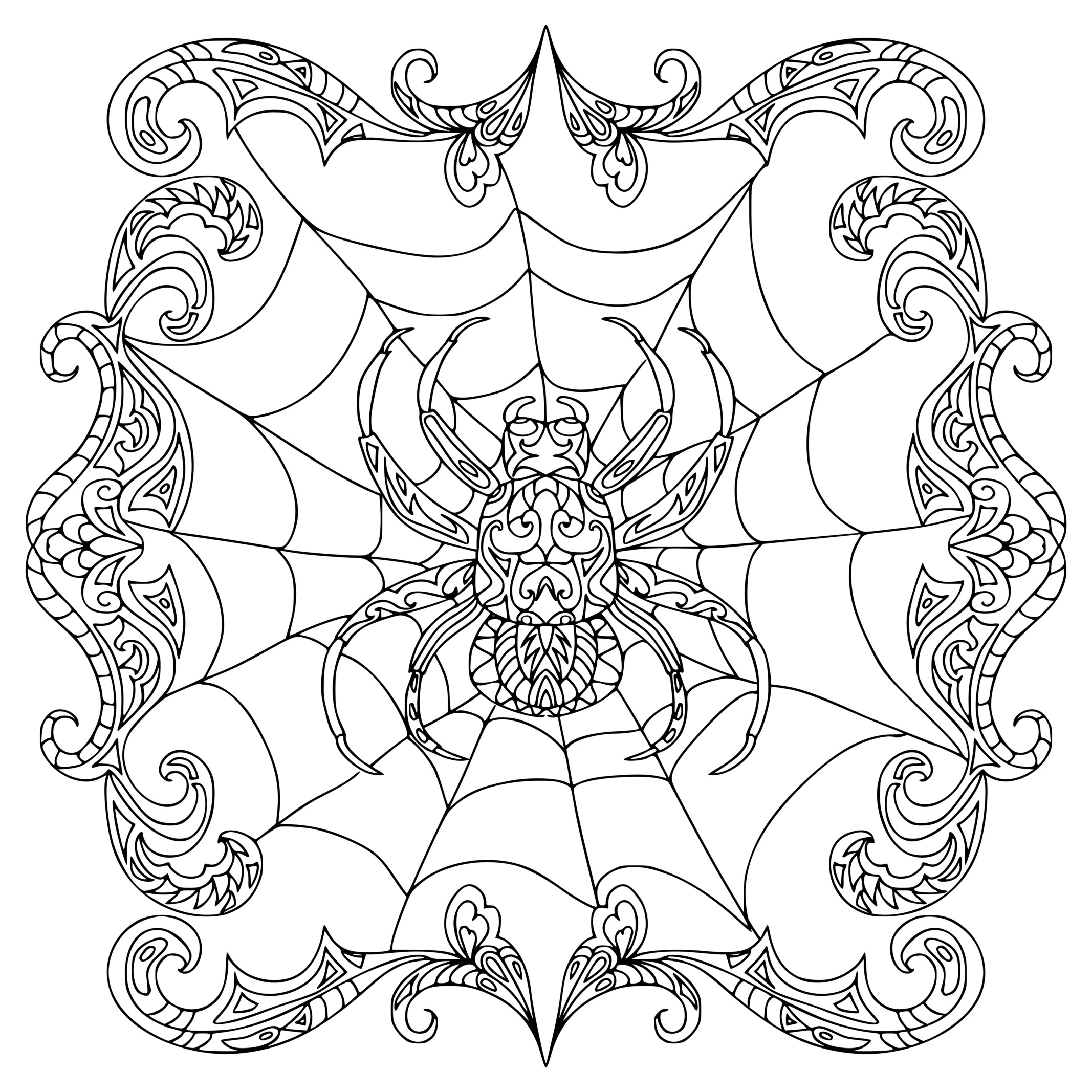 Coloriage Spider Zentangle Araignée - Halloween à imprimer