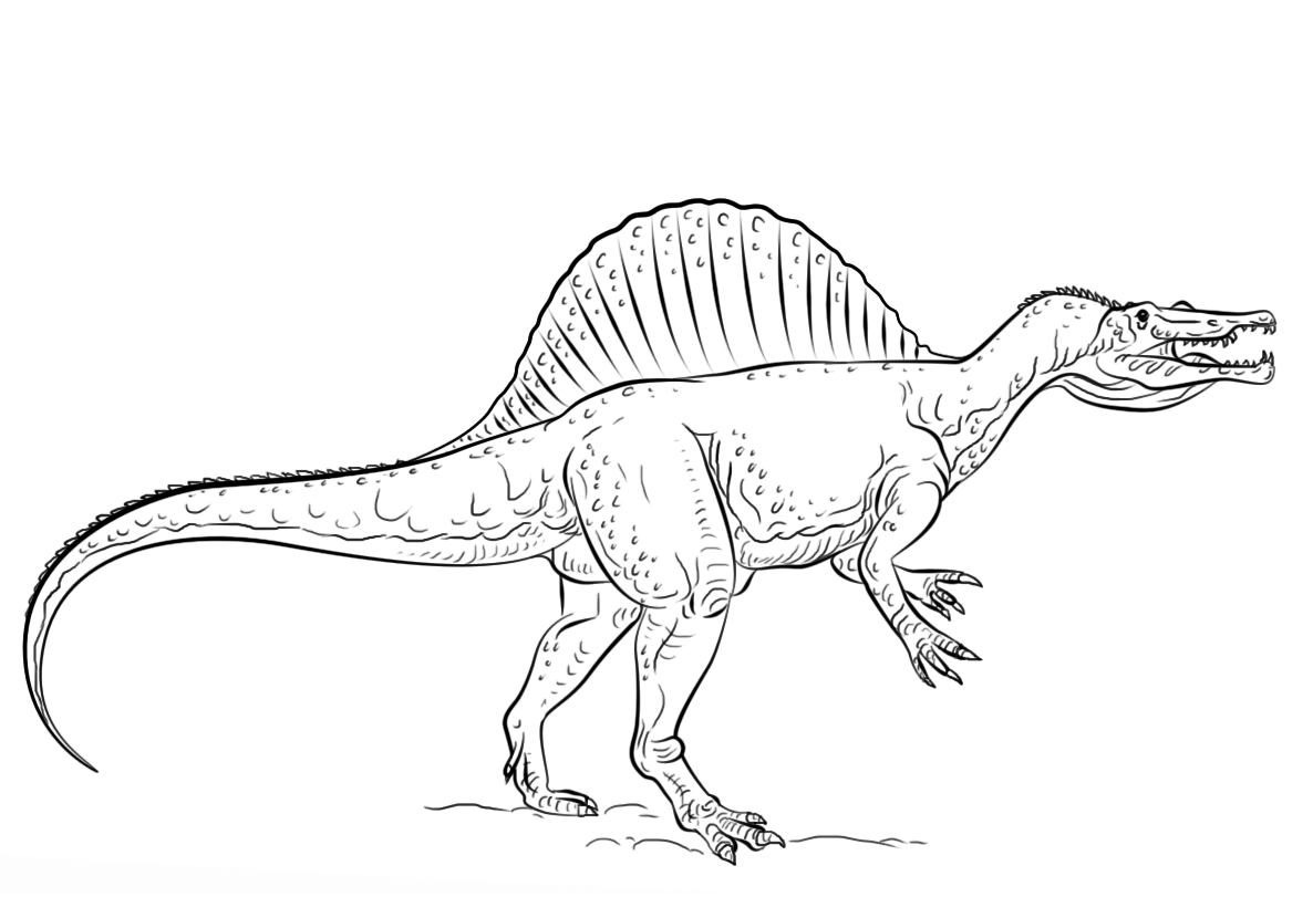 Coloriage Spinosaurus - Jurassic world park à imprimer