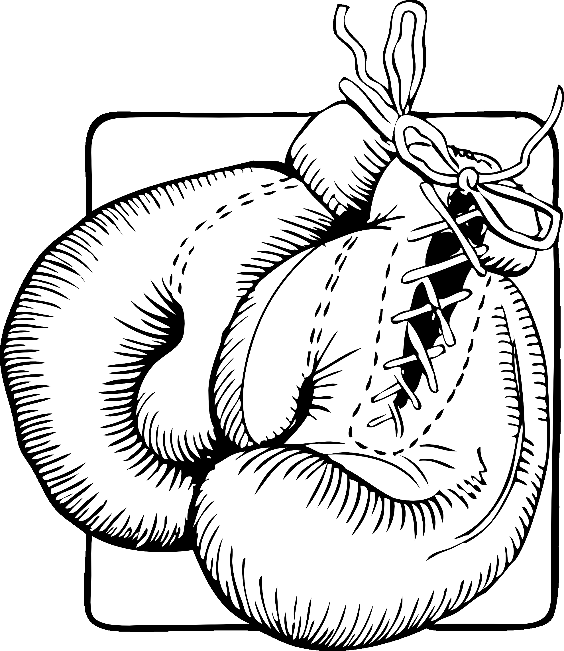 Coloriage Sport Gants Boxe - Sport à imprimer