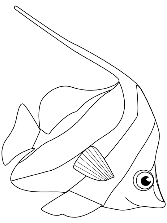 Coloriage Squatine - Poisson à imprimer