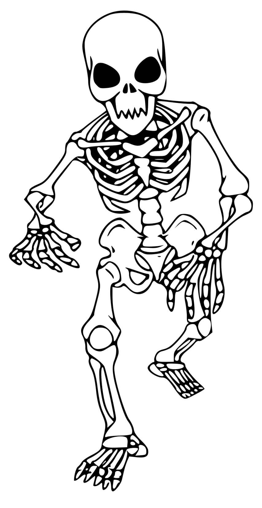 Coloriage Squelette Qui Marche Pour Enfants - Squelette à imprimer