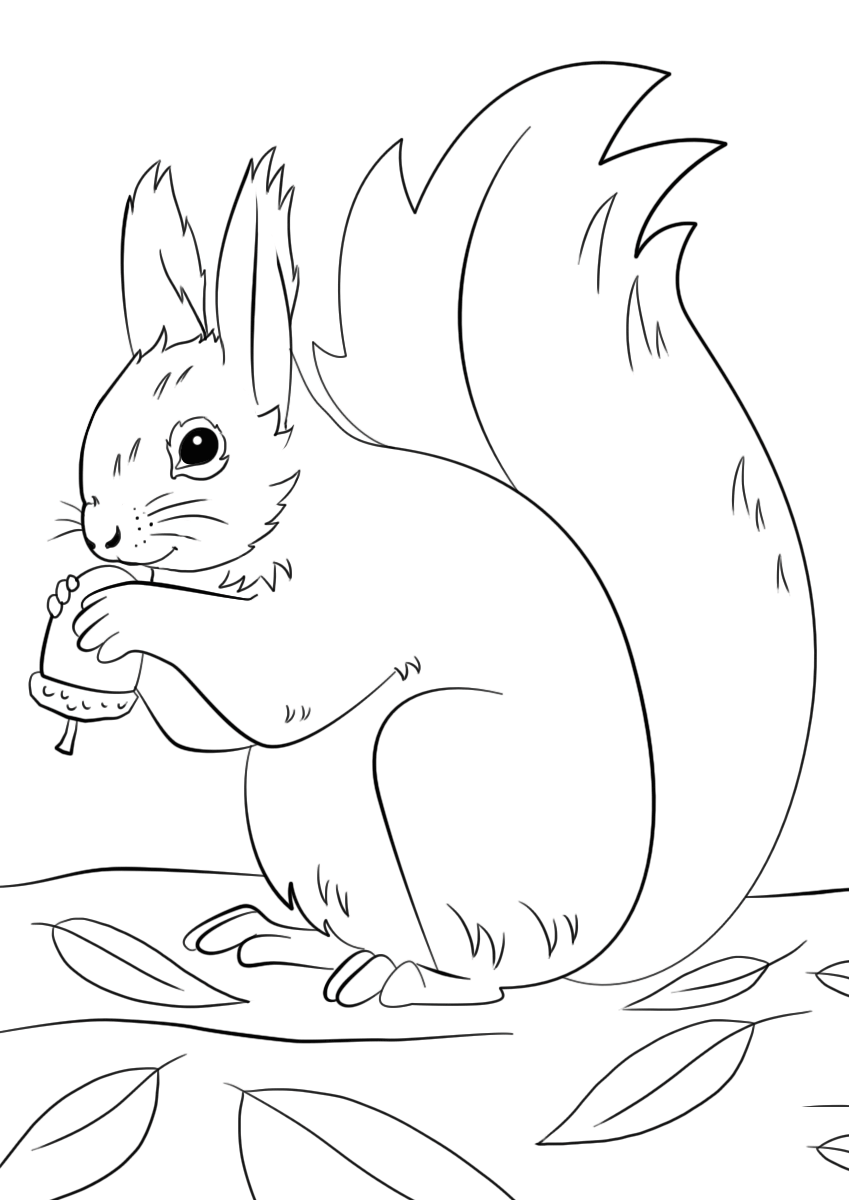 Coloriage Squirrel Preparing For Winter Automne - Automne à imprimer
