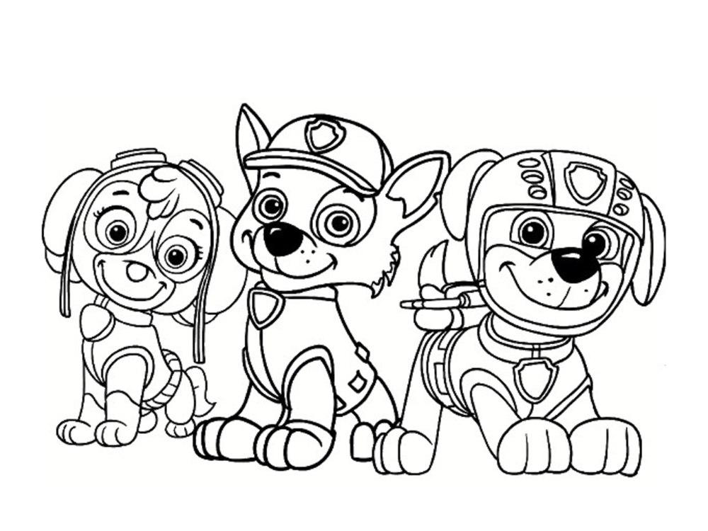 Coloriage Stella Cahse Zuma De Pat Patrouille - Stella à imprimer