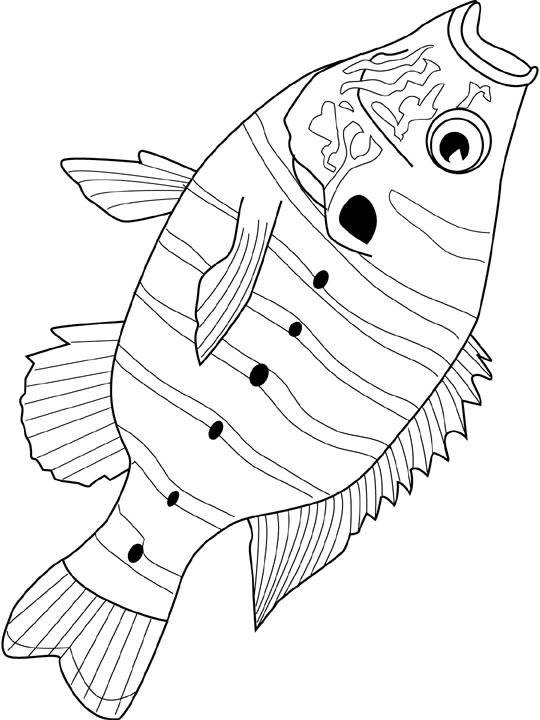 Coloriage Sunfish - Poisson à imprimer