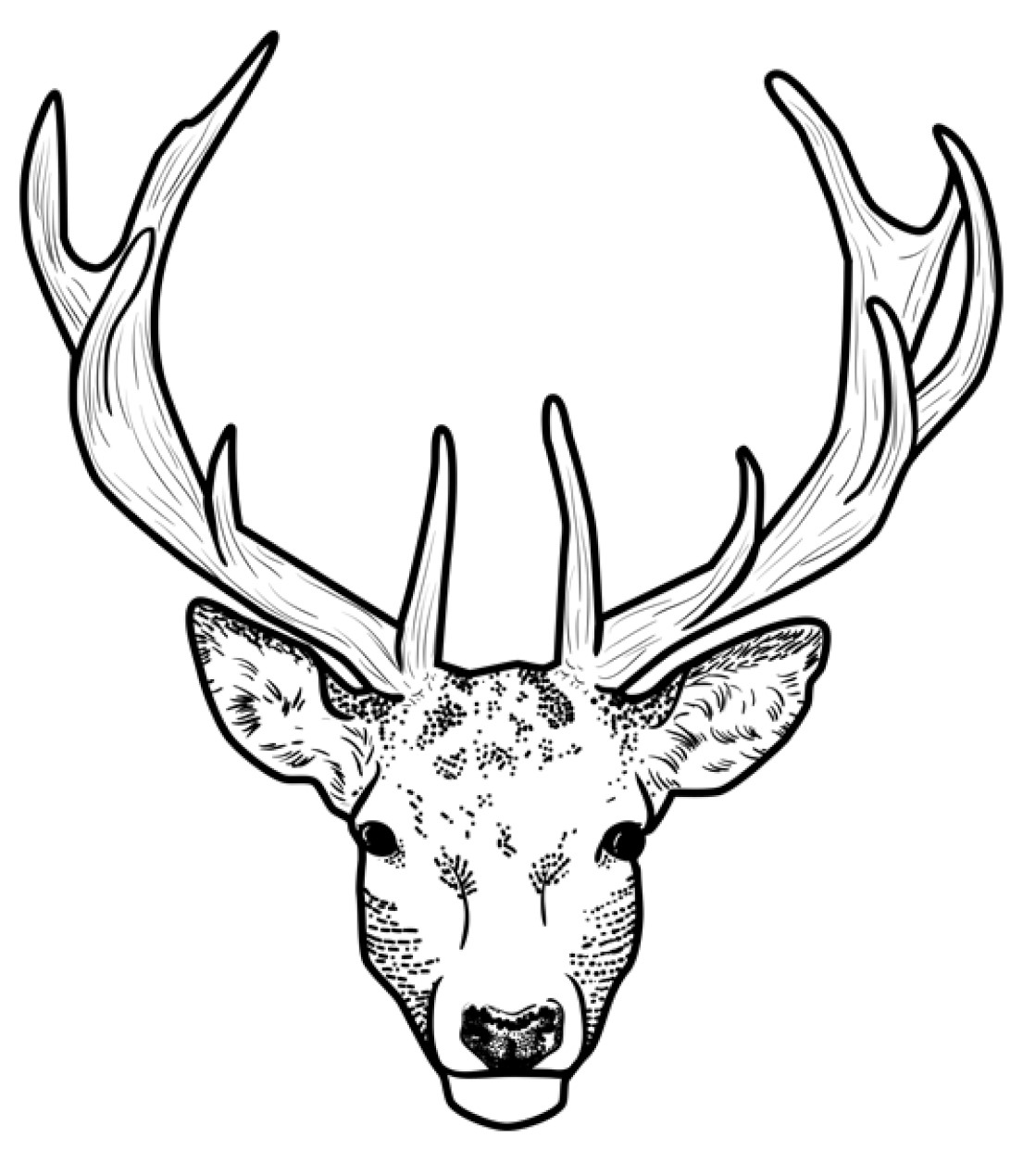 Coloriage Tête De Cerf - Cerf biche faon à imprimer