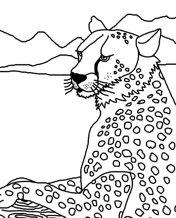 Coloriage Tête De Guépard - Animaux à imprimer