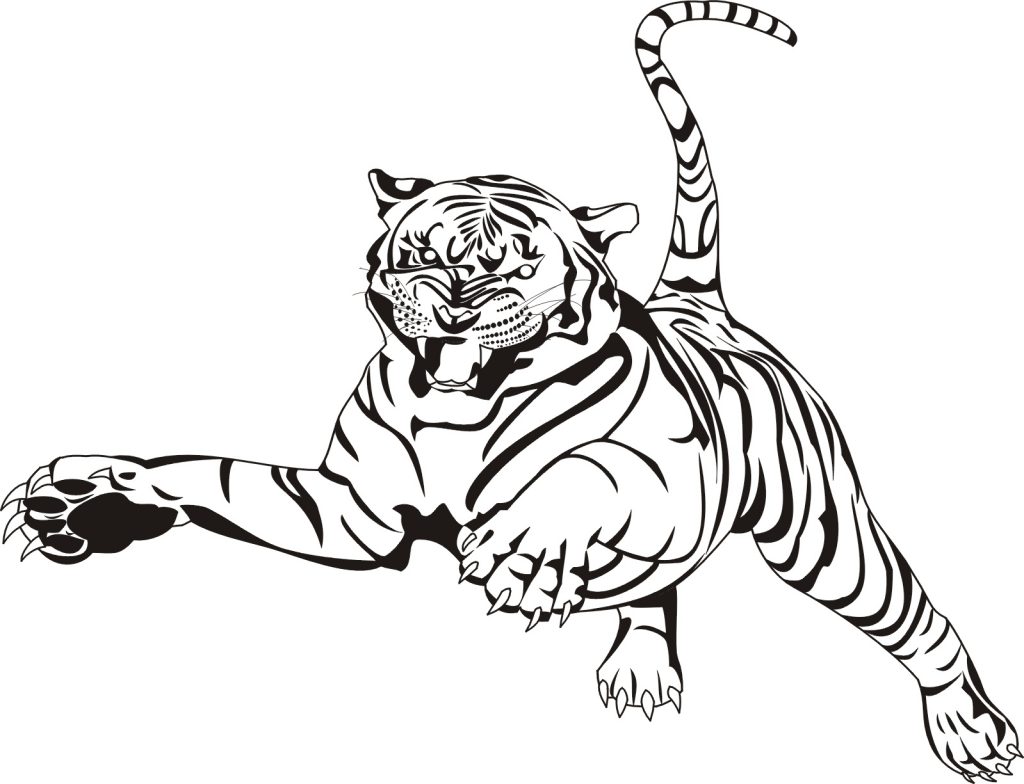Coloriage Tigre Animal Zoo Adulte - Adulte animaux à imprimer