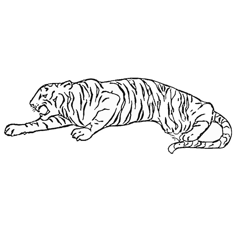 Coloriage Tigre Cirque - Animaux à imprimer