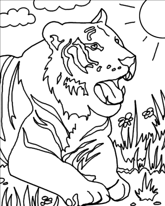 Coloriage Tigre Dans L'Herbe - Animaux à imprimer