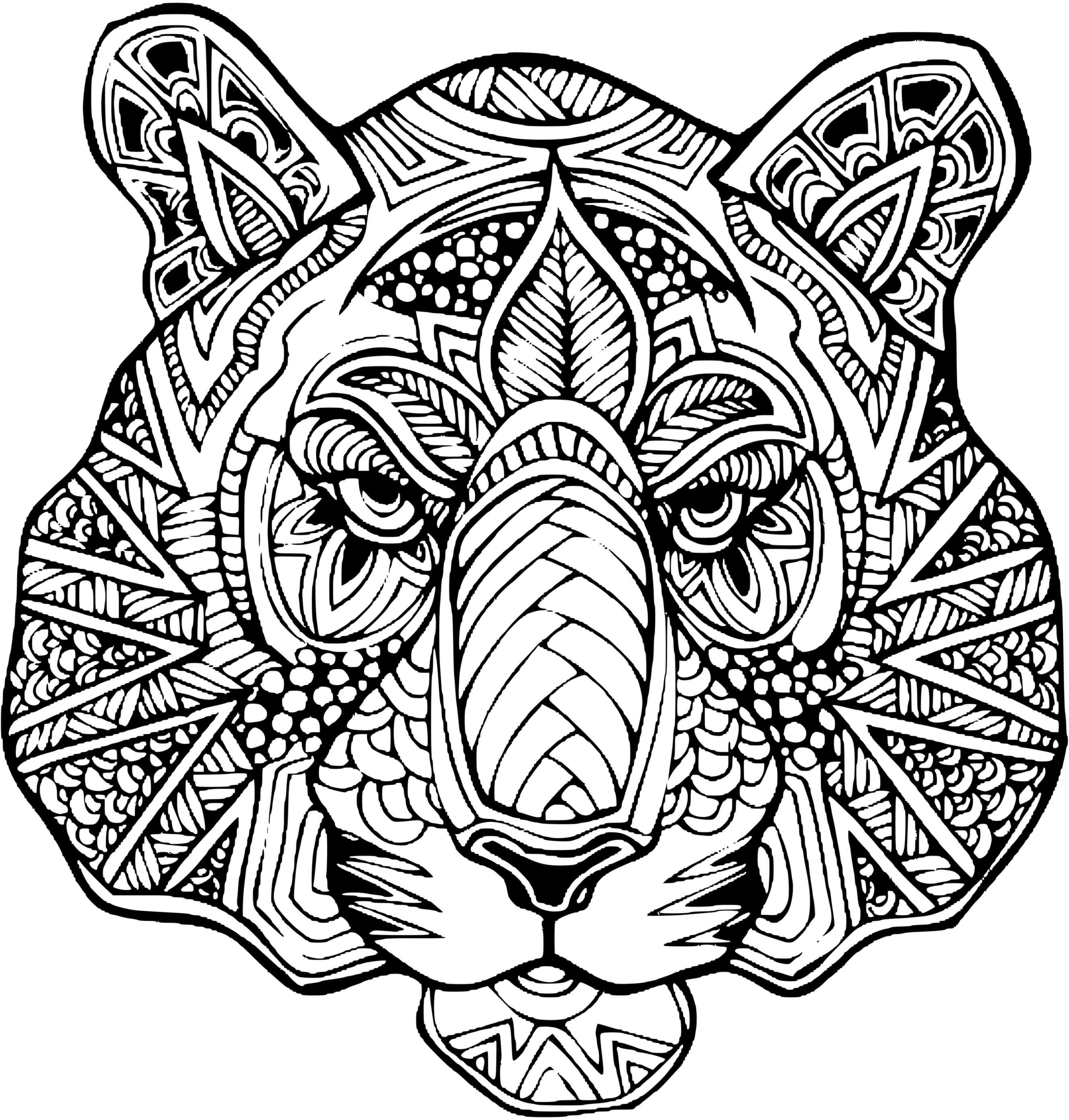 Coloriage Tigre Mandala Adulte Felin - Tigre à imprimer