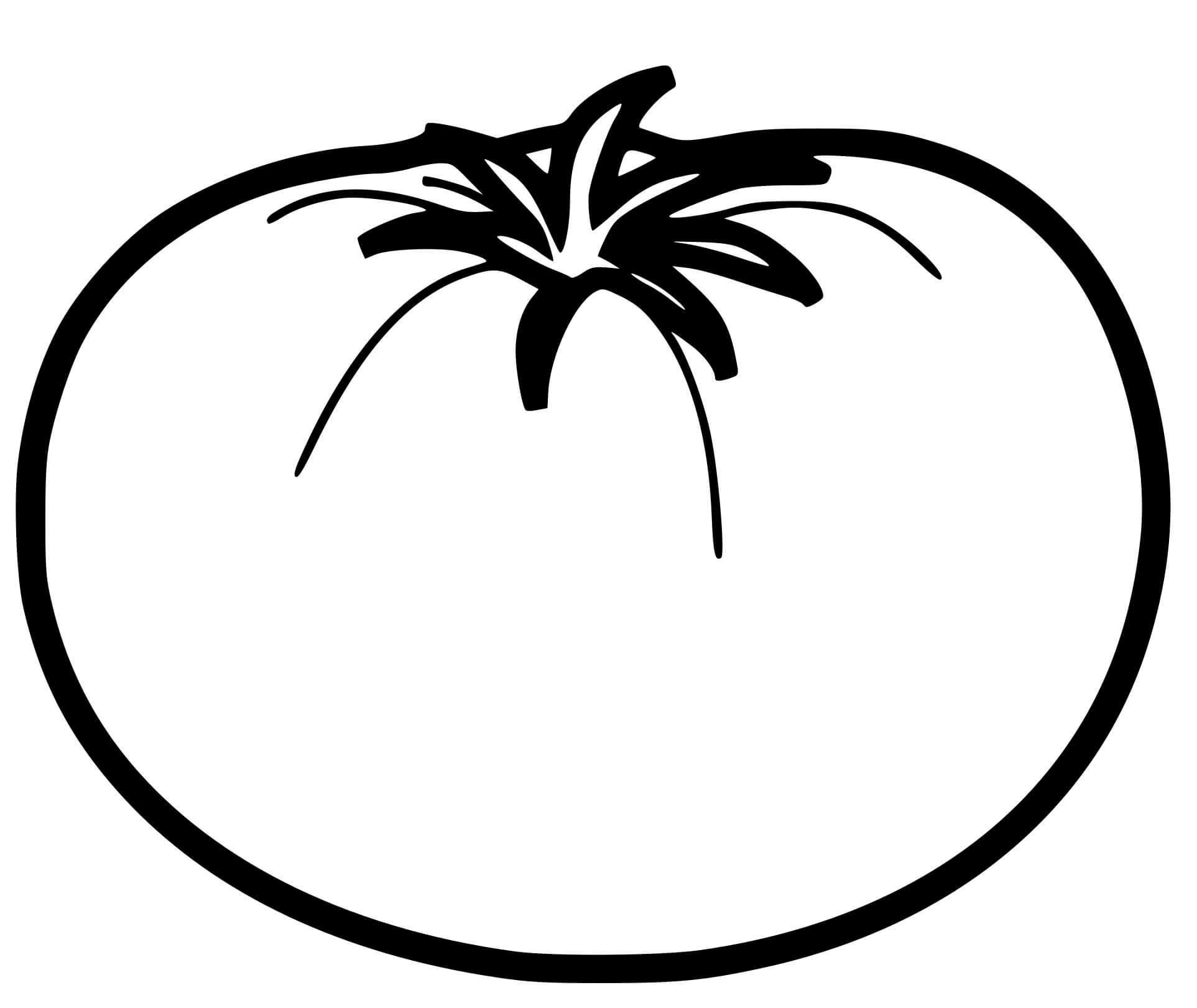 Coloriage Tomate Fruit Simple - Tomate à imprimer