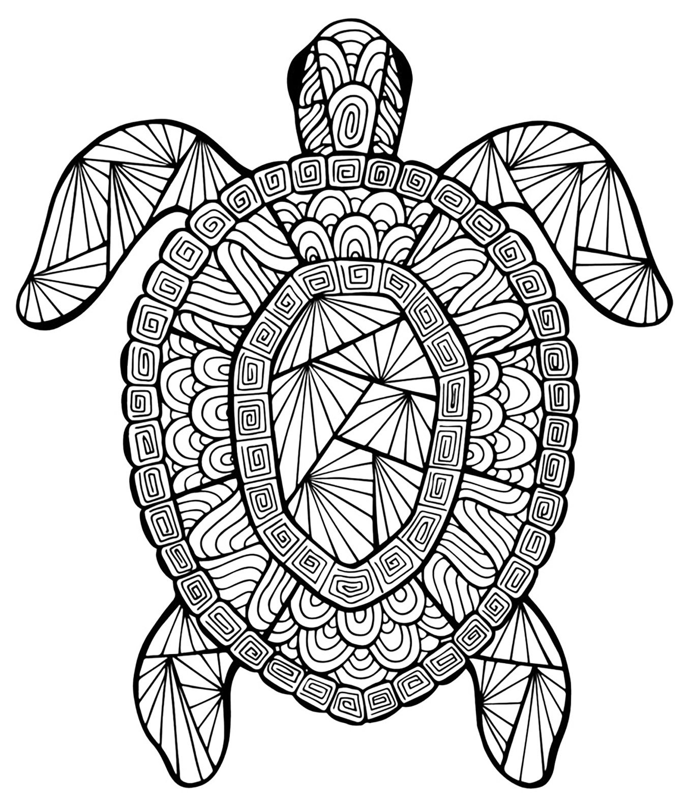 Coloriage Tortue Animaux Adulte - Adulte animaux à imprimer